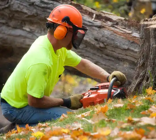 tree services Offutt AFB